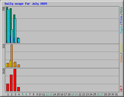 Daily usage for July 2025