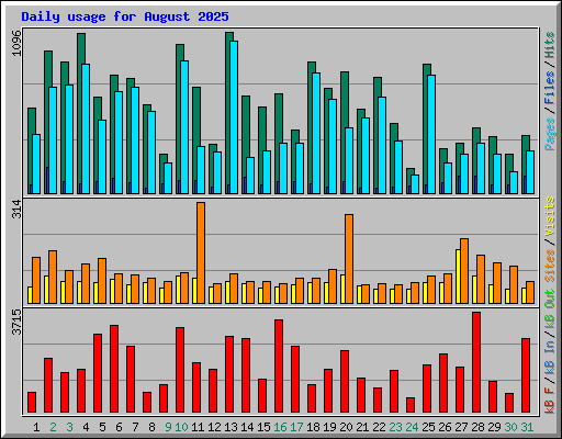Daily usage for August 2025