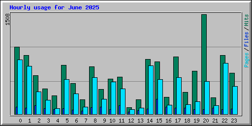 Hourly usage for June 2025