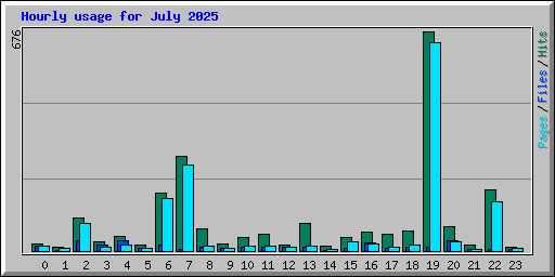 Hourly usage for July 2025