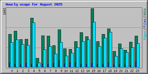 Hourly usage for August 2025